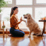 American Cities Are Growing in Popularity with Dog Owners